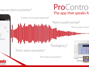 Push voice notifications