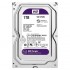 WESTERN DIGITAL I TERRA PURPLE WD10PURX